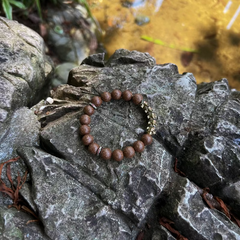 Amber Drift -- Five Dragon Spine Spacers