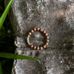 Amber Drift -- Five Dragon Spine Spacers